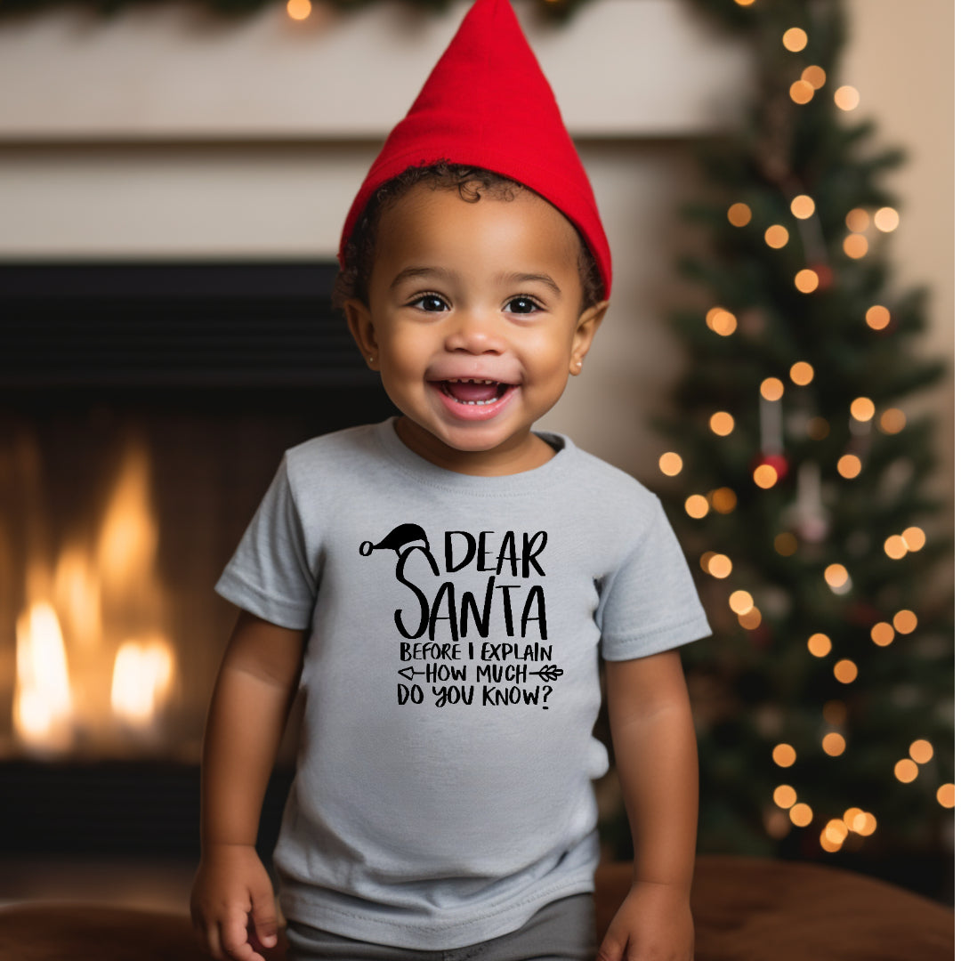 Santa, How much do you know - Kids Unisex T Shirt